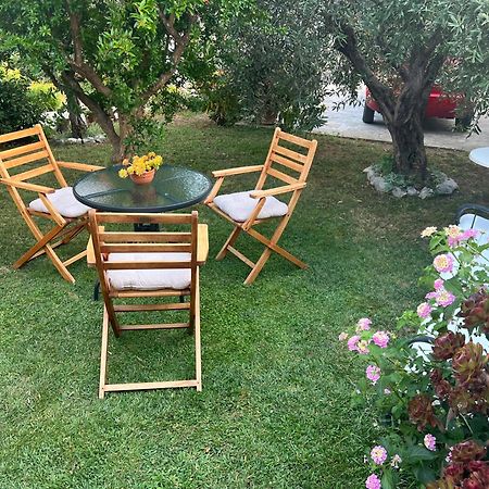 Apartament Olive Grove Vodice Zewnętrze zdjęcie