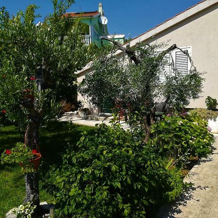 Apartament Olive Grove Vodice Zewnętrze zdjęcie
